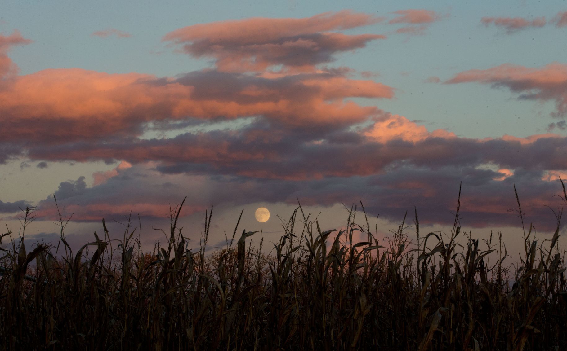 Best of Nebraska